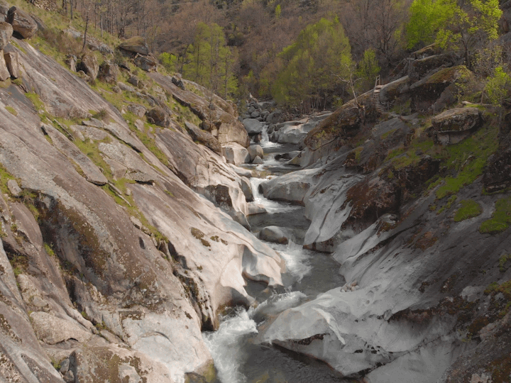 Alvarado Producciones