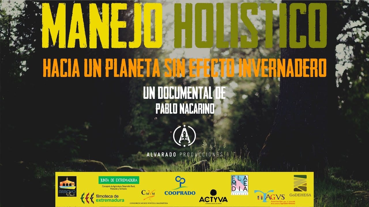 Manejo Holistico Documental
